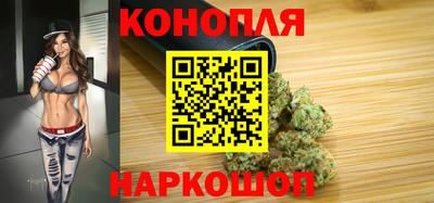 стафф Пенза