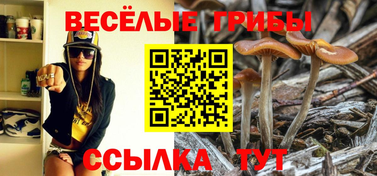 Псилоцибиновые грибы мицелий  Вход с VPN  Сыктывкар  Галлюциногенные грибы мицелий 